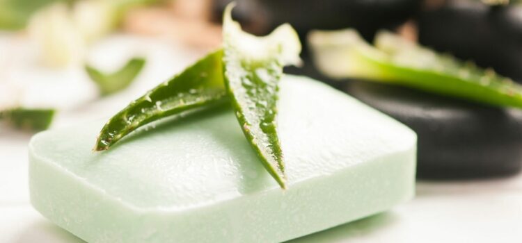 Aloe Vera Ve Salatalık Sabunu Nedir? Ne işe Yarar? Kullanımı